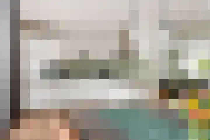 Coreanna 2 a Geldermalsen thumbnail 13