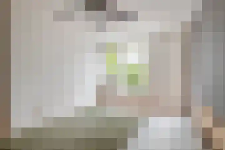 Coreanna 2 a Geldermalsen thumbnail 16