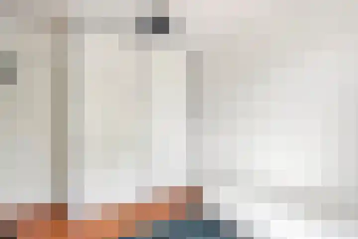 Coreanna 2 a Geldermalsen thumbnail 19