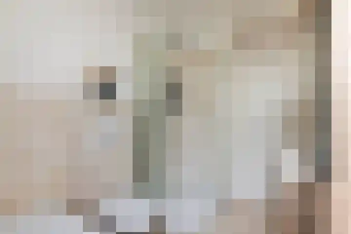 Coreanna 2 a Geldermalsen thumbnail 21