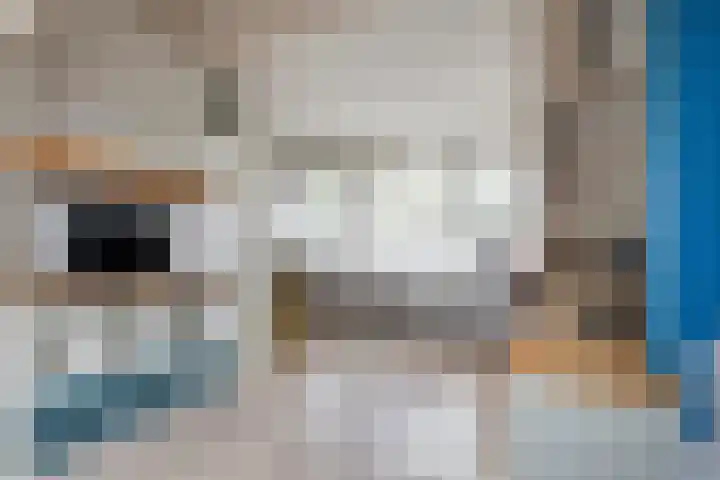 Coreanna 2 a Geldermalsen thumbnail 24