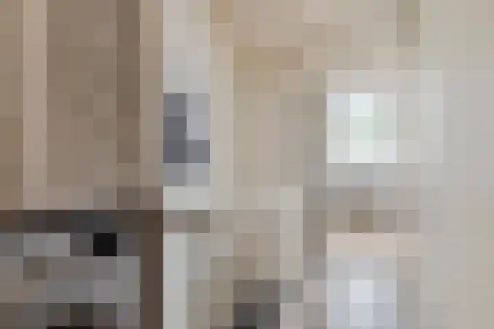 Coreanna 2 a Geldermalsen thumbnail 27