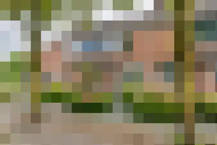 Coreanna 2 a Geldermalsen thumbnail 28