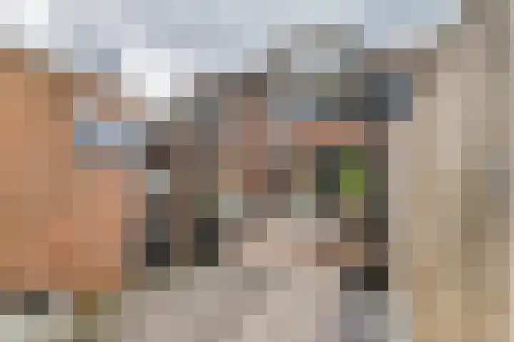 Coreanna 2 a Geldermalsen thumbnail 29