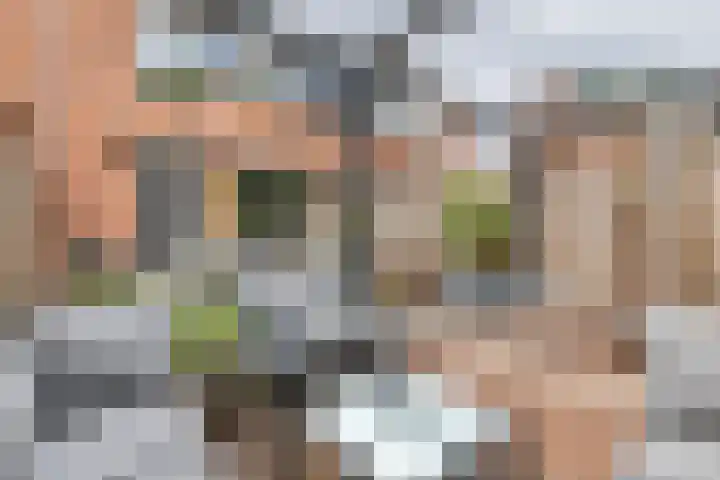 Coreanna 2 a Geldermalsen thumbnail 31