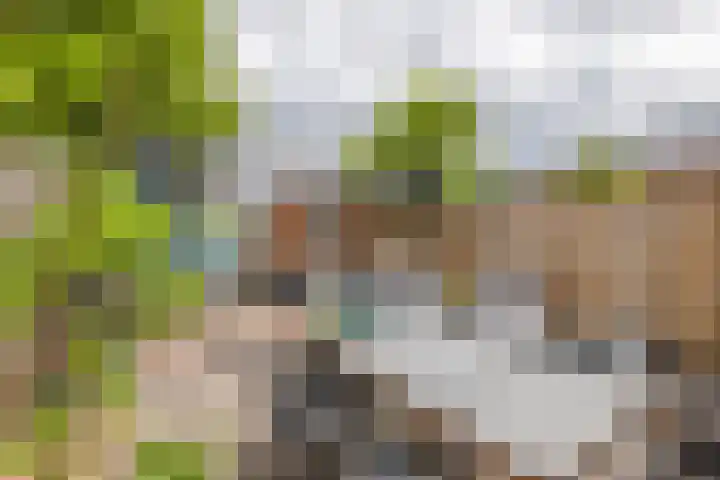 Coreanna 2 a Geldermalsen thumbnail 33