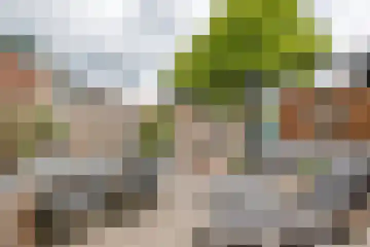 Coreanna 2 a Geldermalsen thumbnail 34