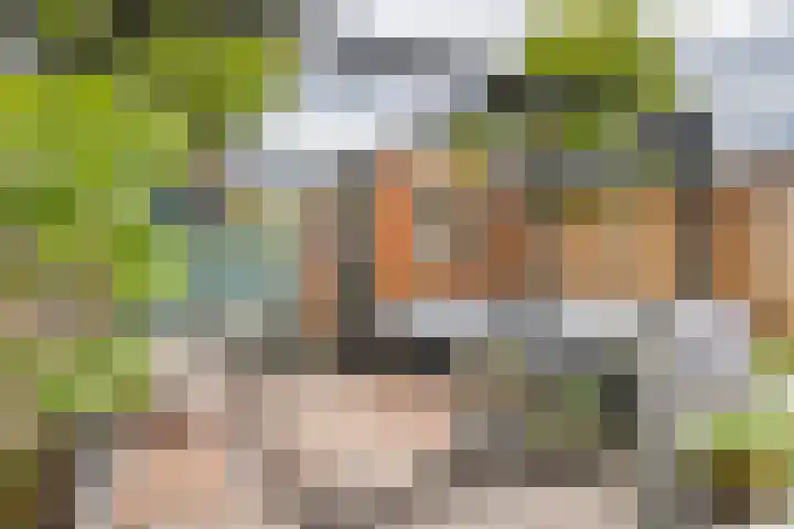 Coreanna 2 a Geldermalsen thumbnail 35