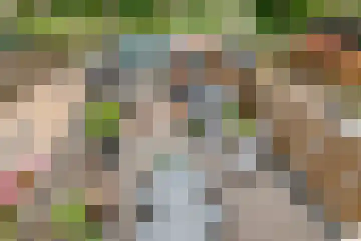 Coreanna 2 a Geldermalsen thumbnail 37