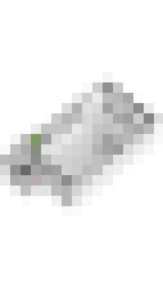 Coreanna 2 a Geldermalsen thumbnail 39