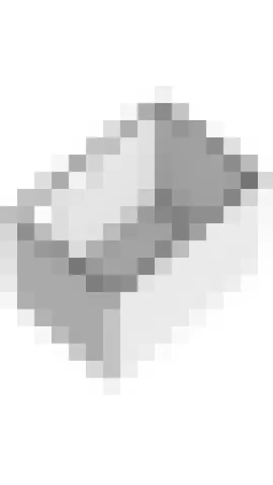 Coreanna 2 a Geldermalsen thumbnail 45