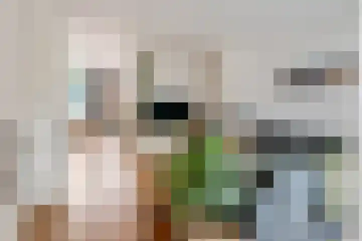 Coreanna 2 a Geldermalsen thumbnail 5