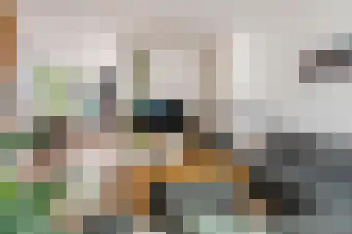 Coreanna 2 a Geldermalsen thumbnail 6
