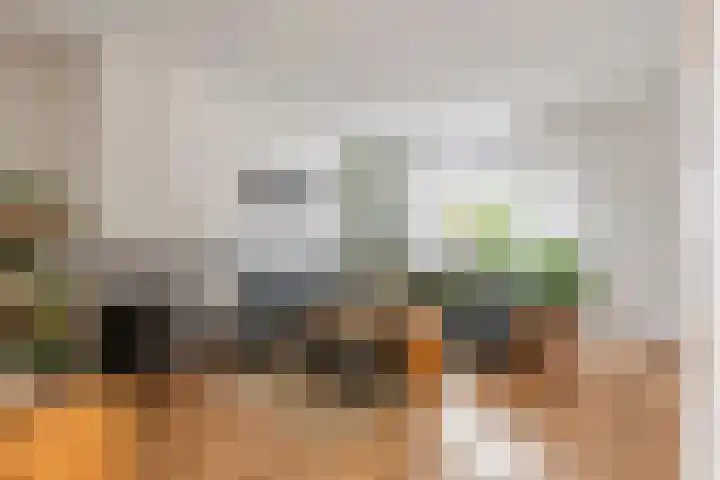 Coreanna 2 a Geldermalsen thumbnail 7