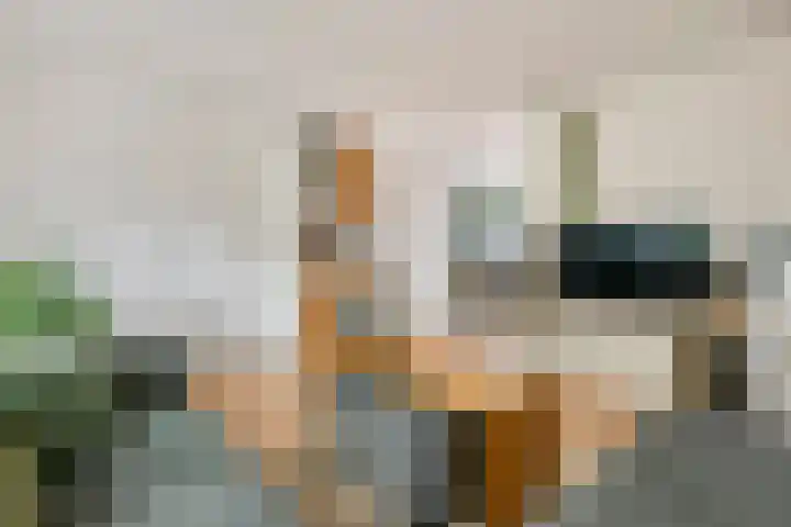 Coreanna 2 a Geldermalsen thumbnail 9