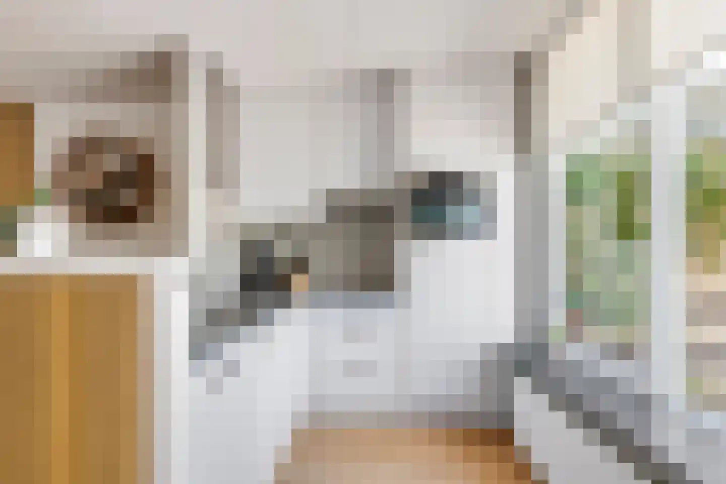 Coreanna 70 Geldermalsen thumbnail 10