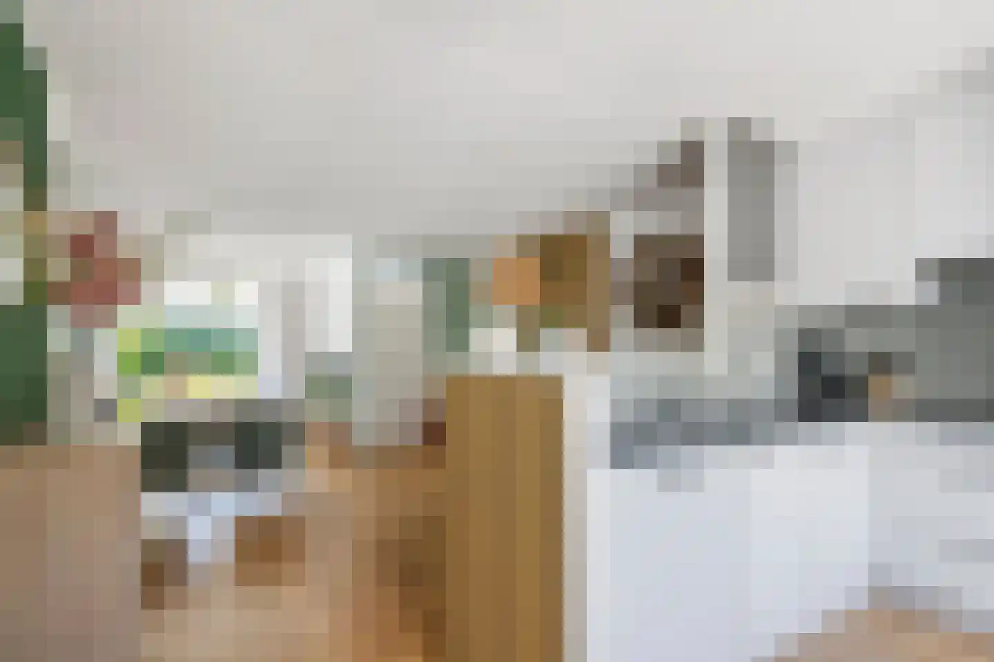 Coreanna 70 Geldermalsen thumbnail 11