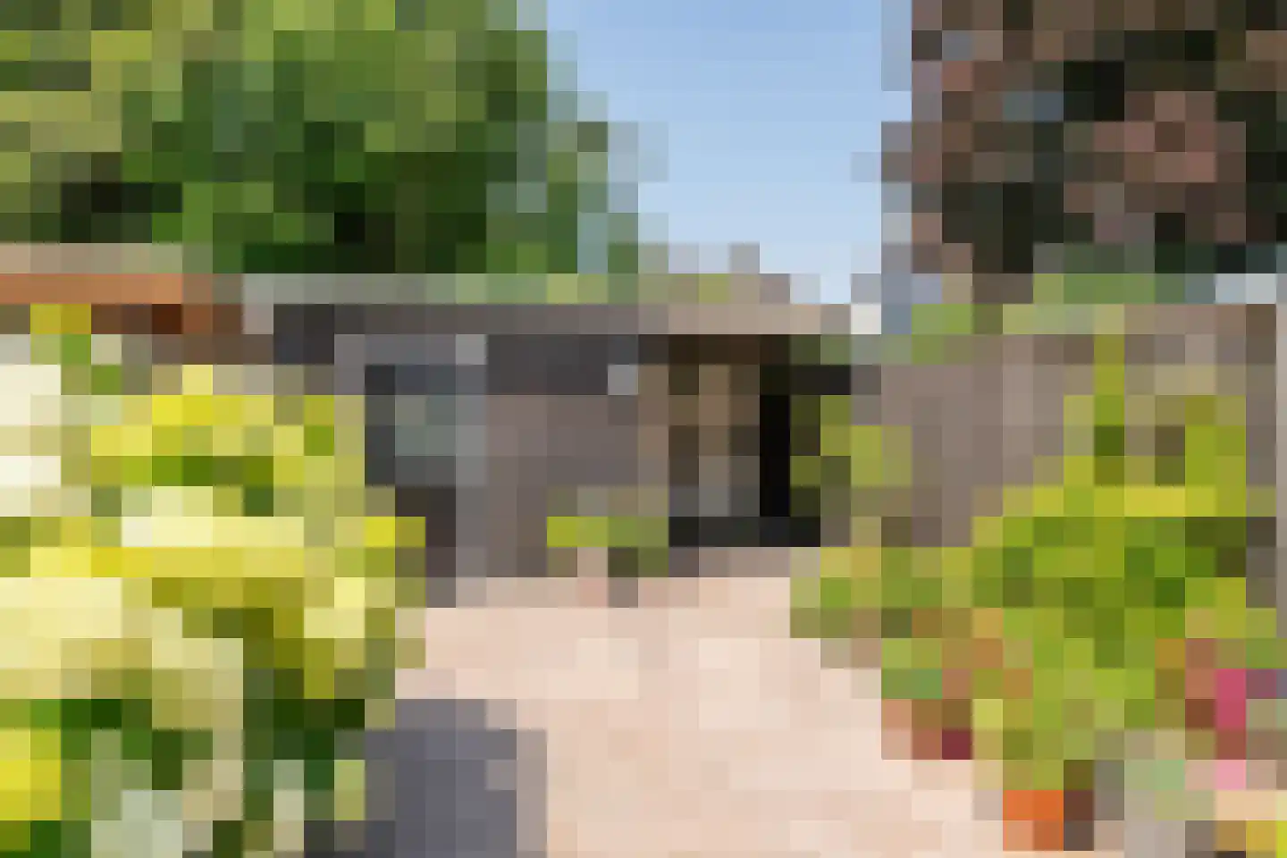 Coreanna 70 Geldermalsen thumbnail 24