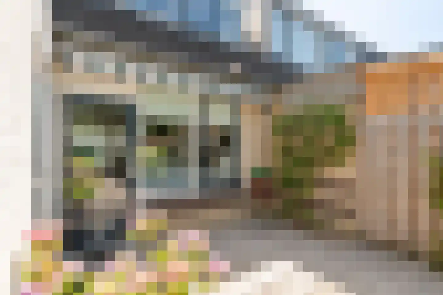 Coreanna 70 Geldermalsen thumbnail 25