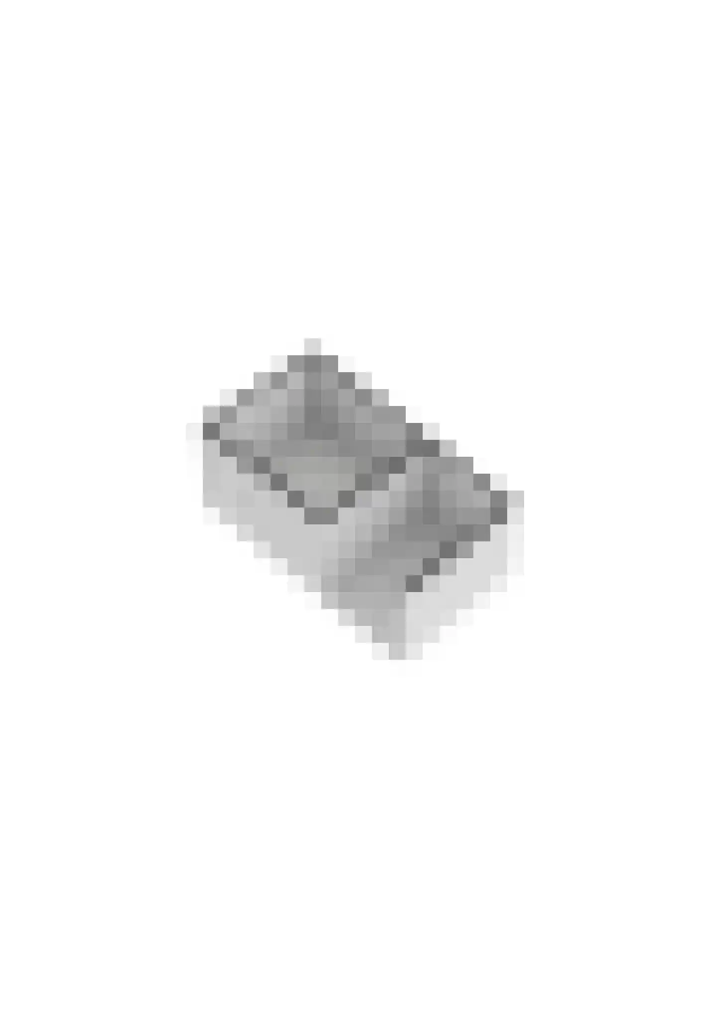 Coreanna 70 Geldermalsen thumbnail 35