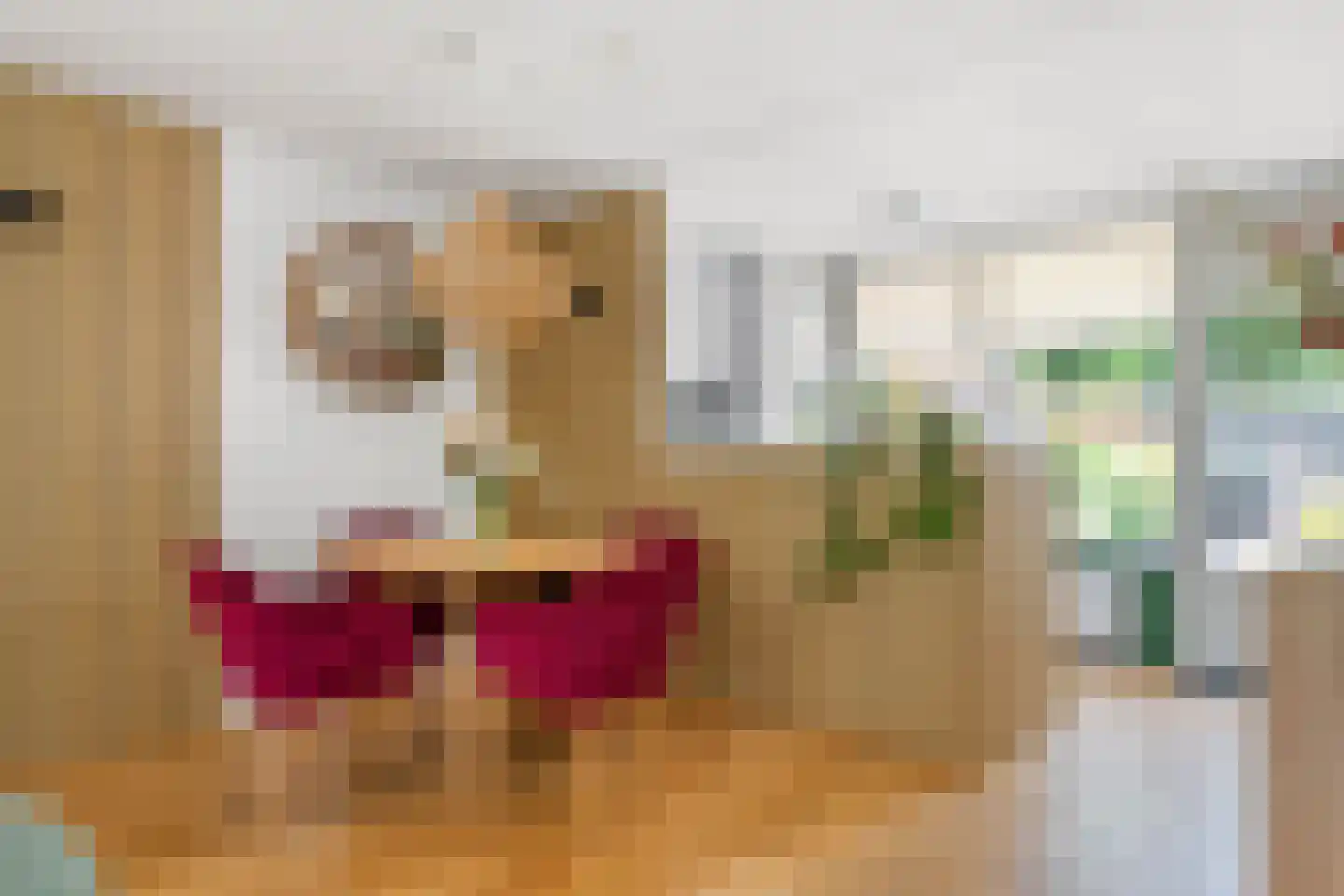 Coreanna 70 Geldermalsen thumbnail 9