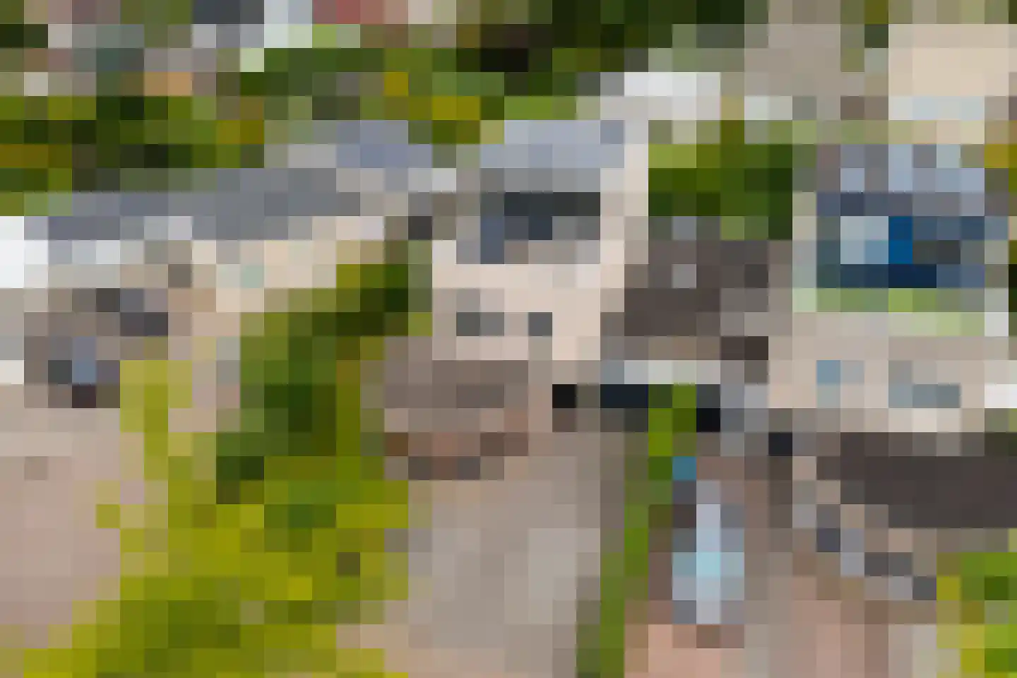 Coreemarke 16 Zwolle thumbnail 31