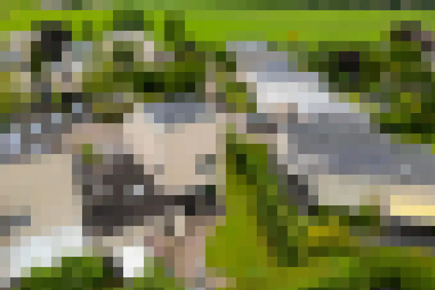 Coreemarke 16 Zwolle thumbnail 32