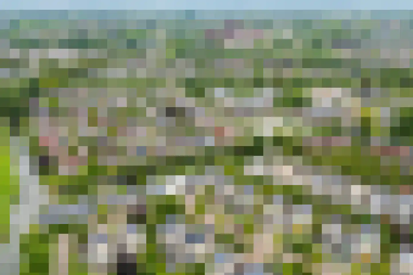 Coreemarke 16 Zwolle thumbnail 33