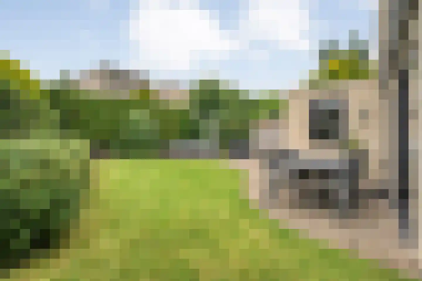 Coreemarke 16 Zwolle thumbnail 34