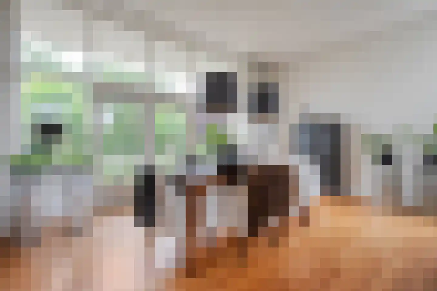 Coreemarke 20 Zwolle thumbnail 21
