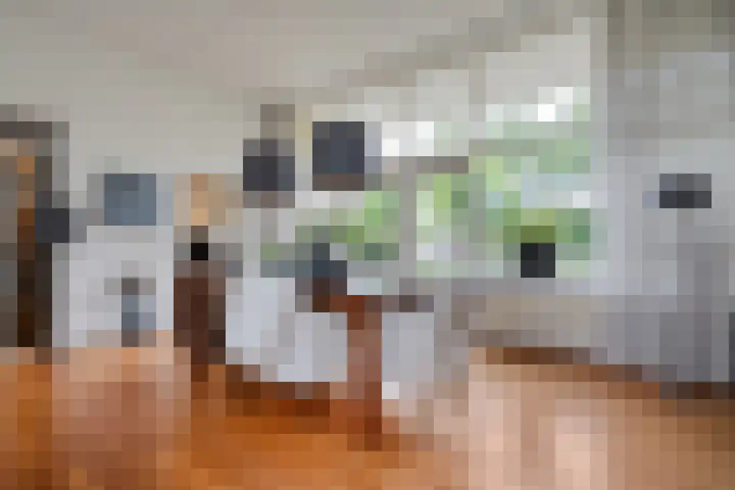 Coreemarke 20 Zwolle thumbnail 22