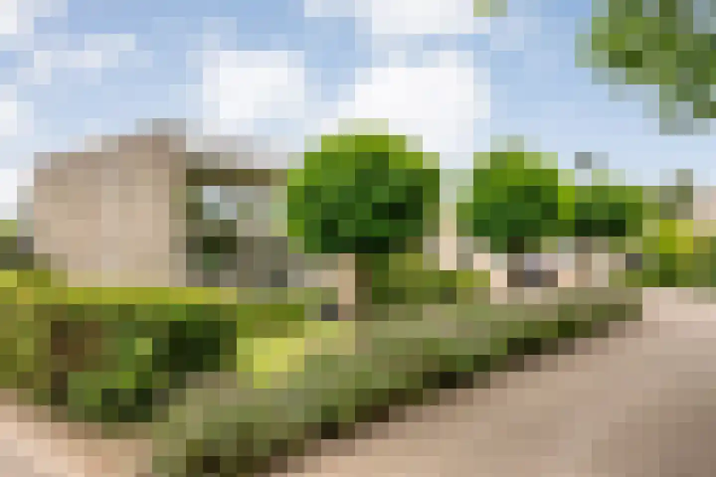 Coreemarke 20 Zwolle thumbnail 5