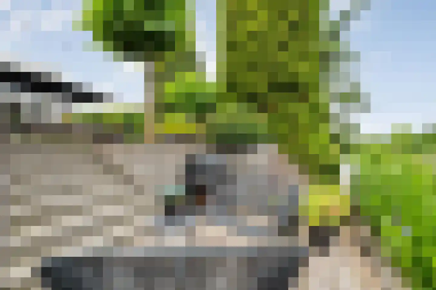 Coreemarke 20 Zwolle thumbnail 60