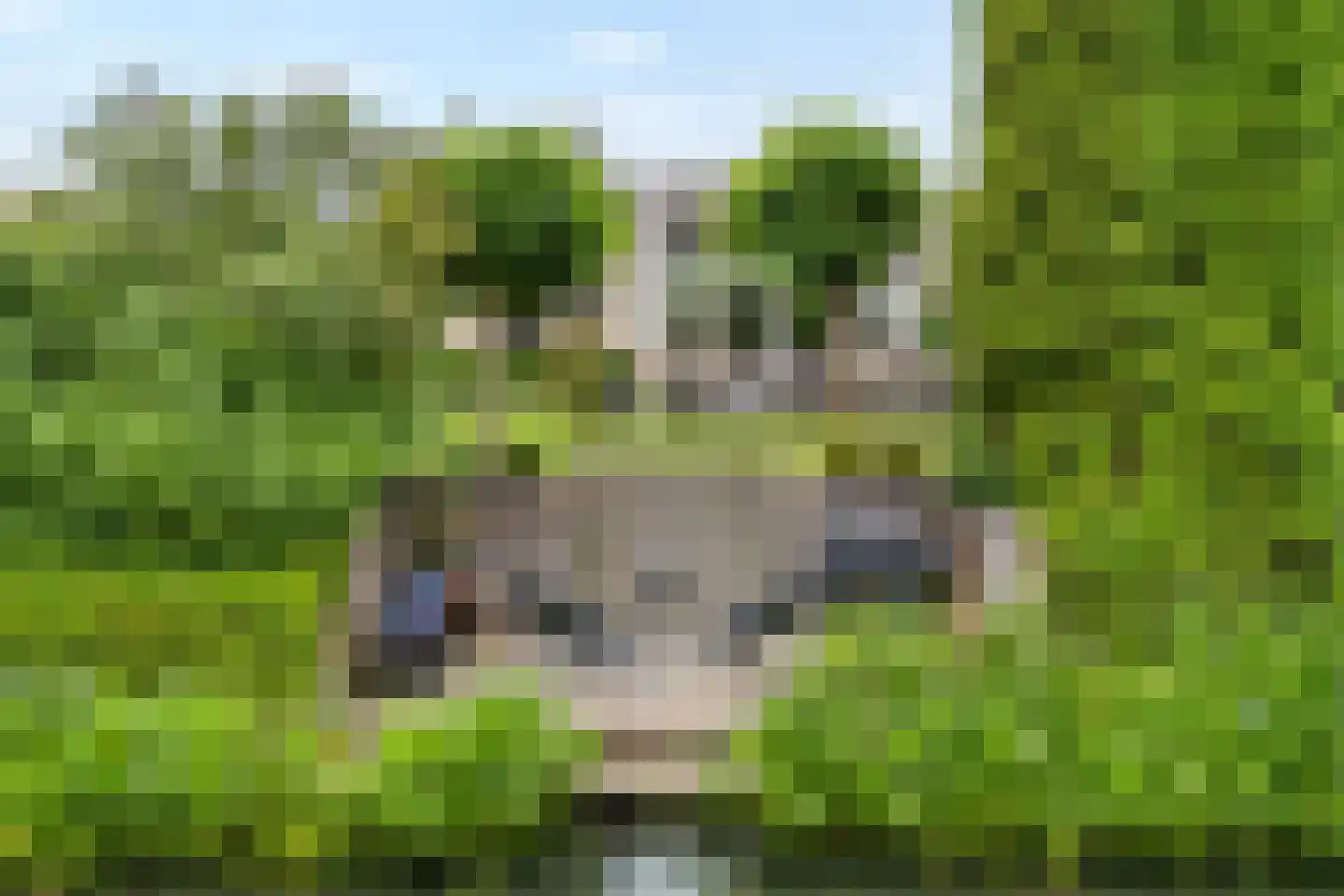 Coreemarke 20 Zwolle thumbnail 61