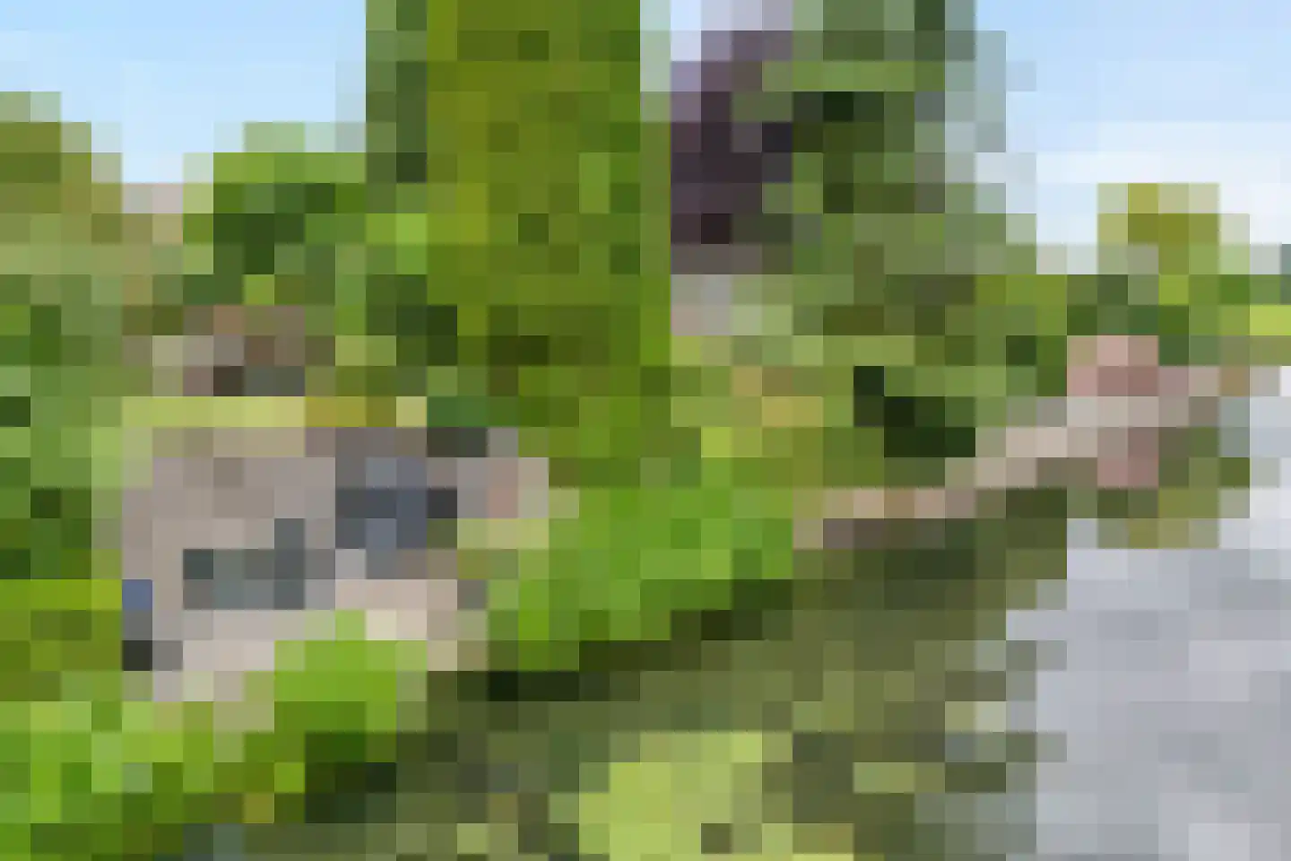 Coreemarke 20 Zwolle thumbnail 62