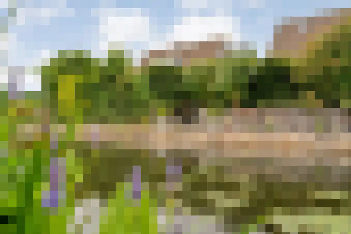 Coreemarke 20 Zwolle thumbnail 63