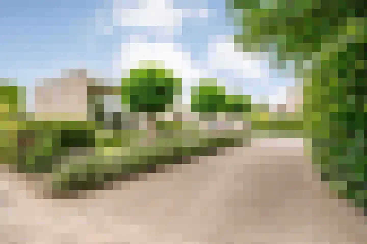 Coreemarke 20 Zwolle thumbnail 65