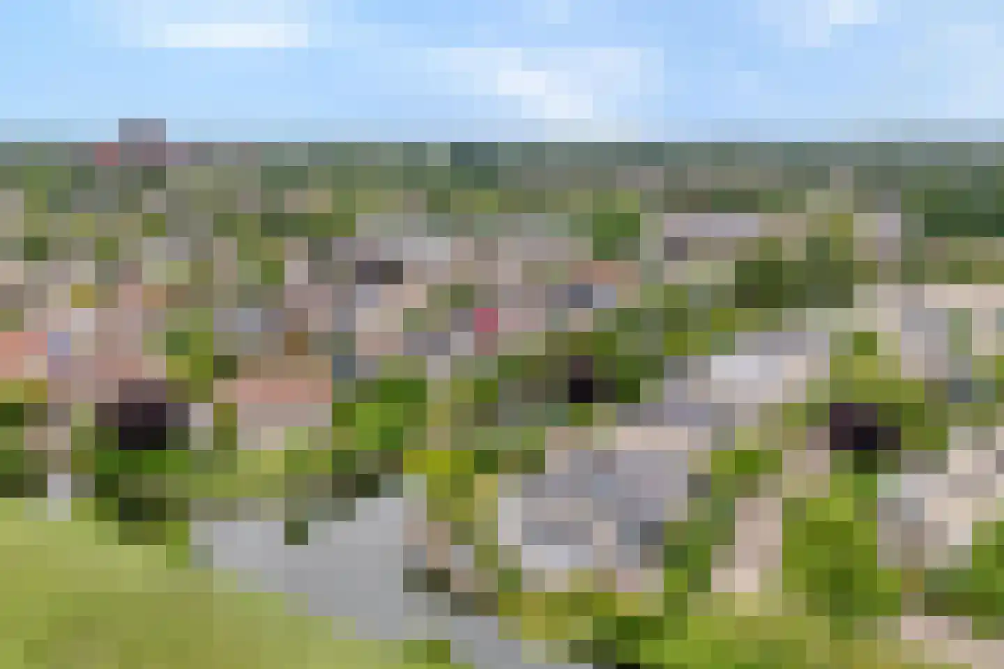 Coreemarke 20 Zwolle thumbnail 68