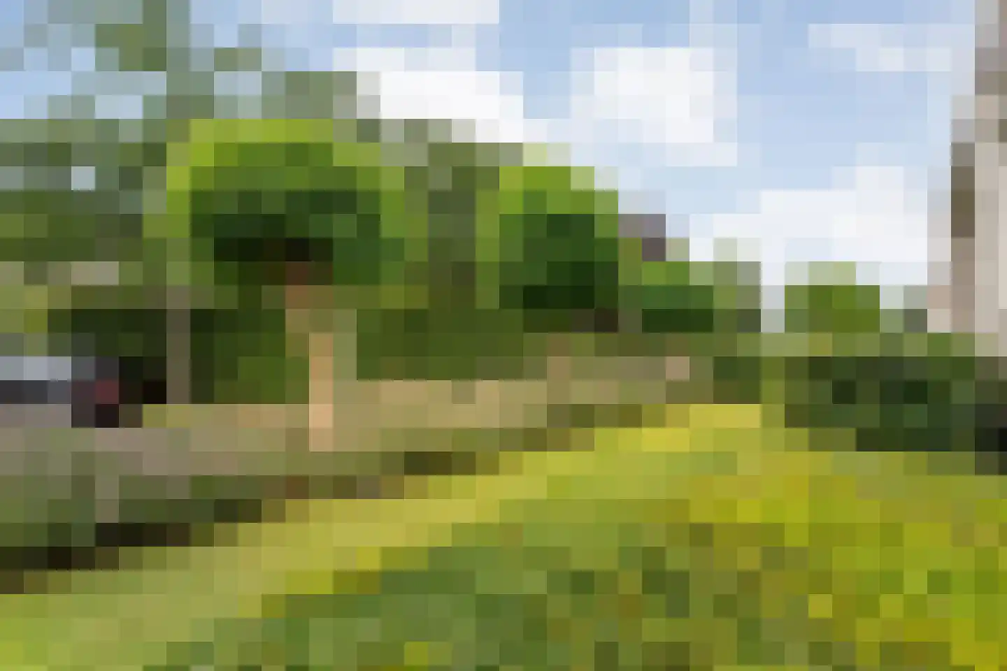 Coreemarke 20 Zwolle thumbnail 7