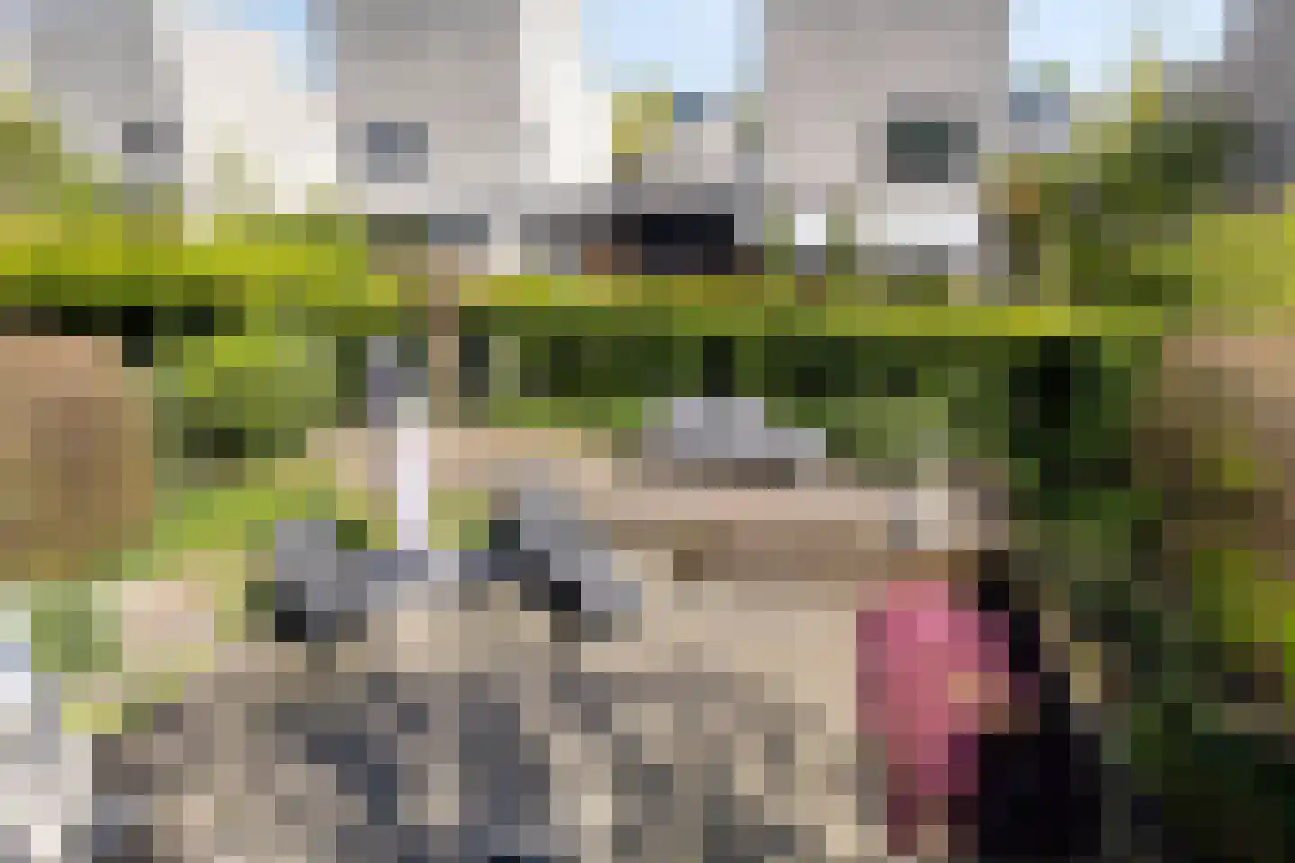 Coreemarke 25 Zwolle thumbnail 30