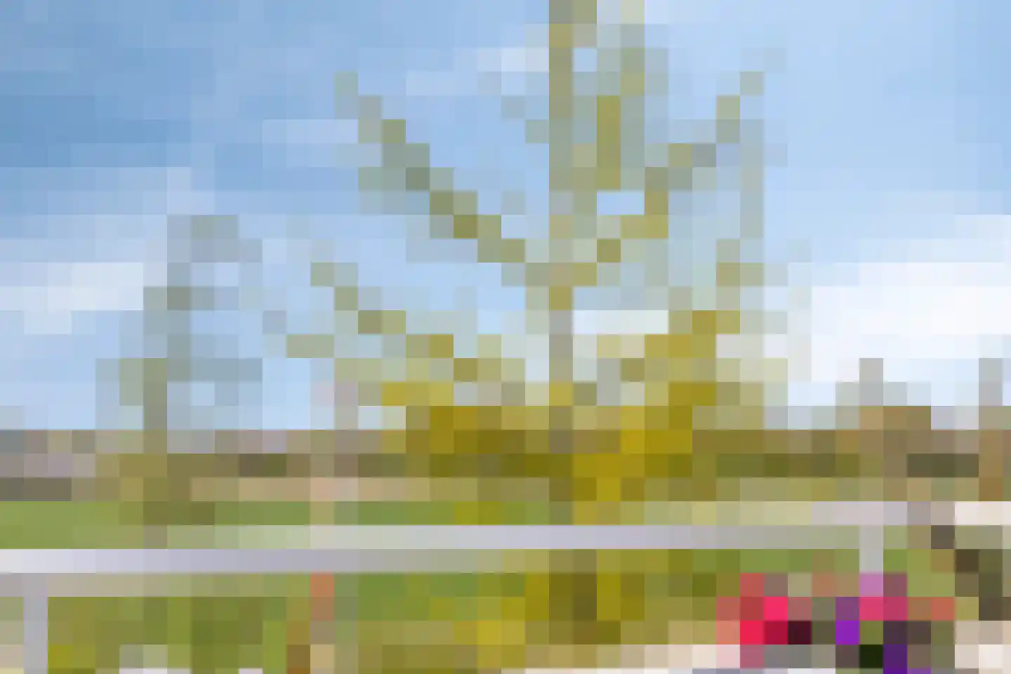 Coreemarke 25 Zwolle thumbnail 37