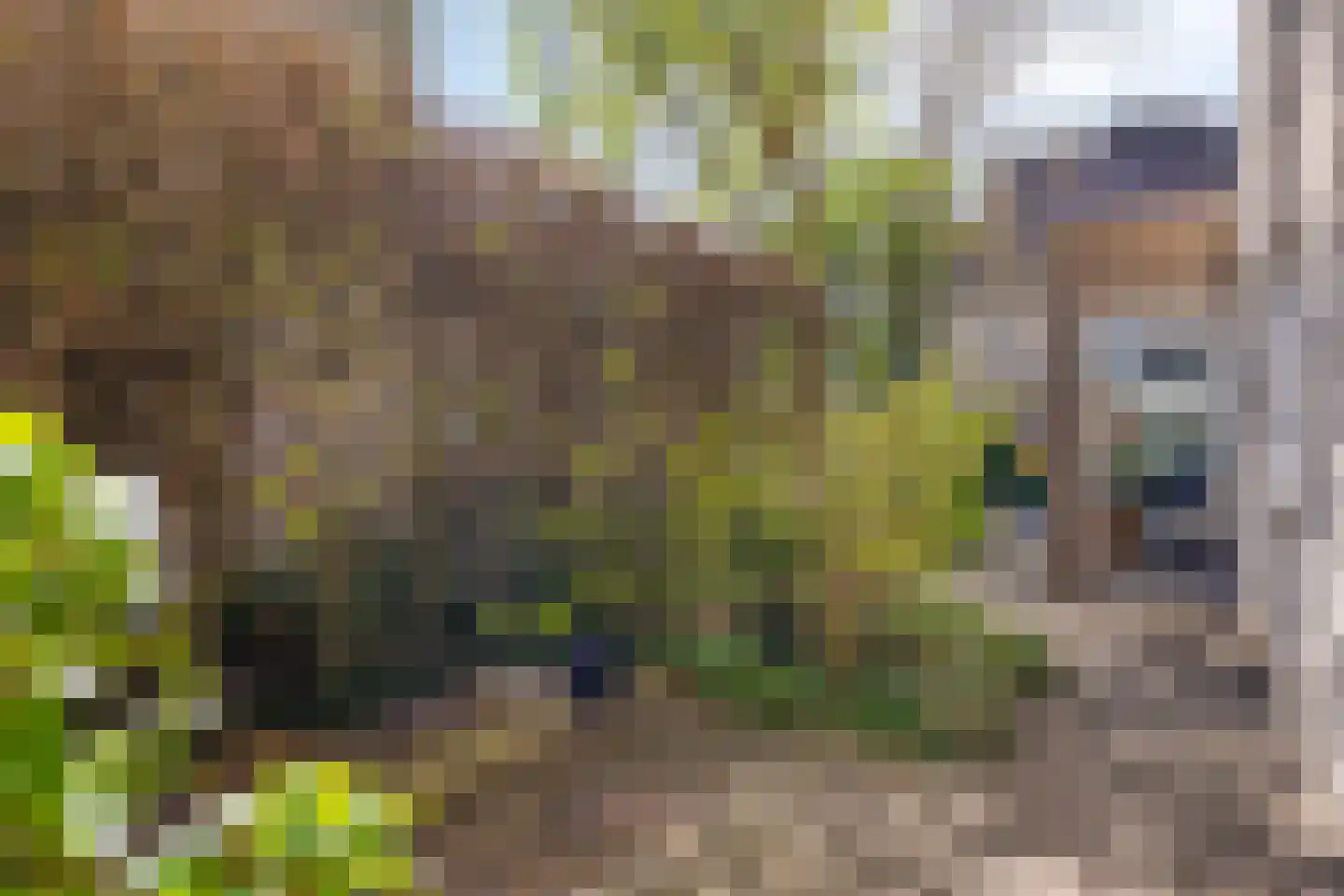 Coreemarke 25 Zwolle thumbnail 41