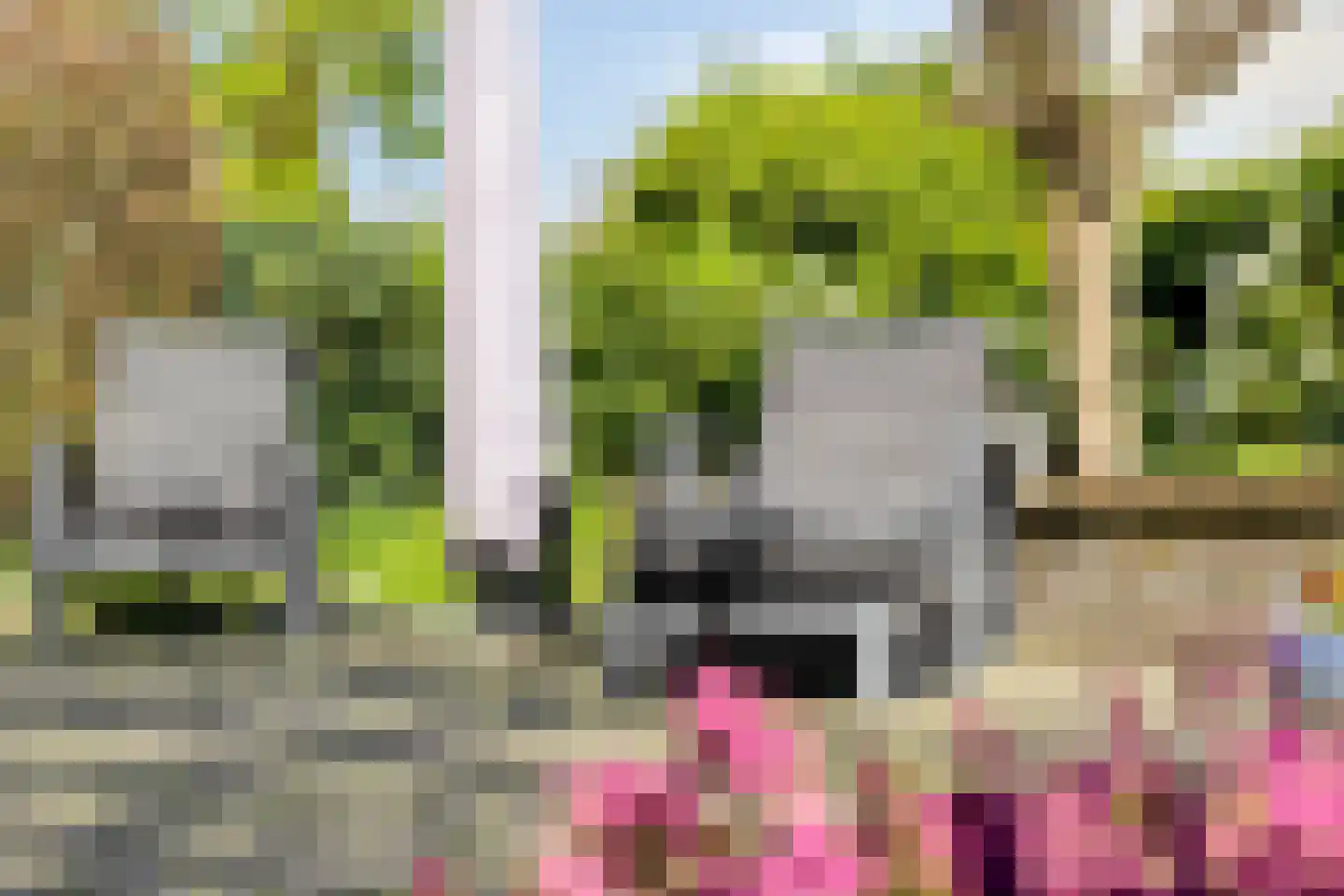 Coreemarke 25 Zwolle thumbnail 44