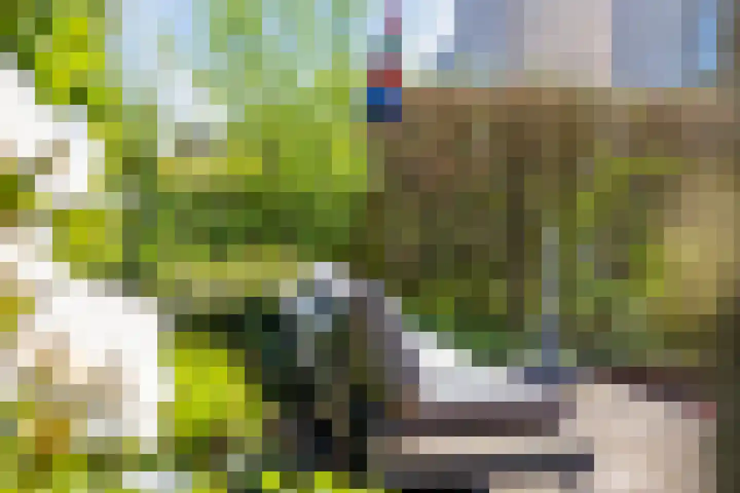 Coreemarke 25 Zwolle thumbnail 45