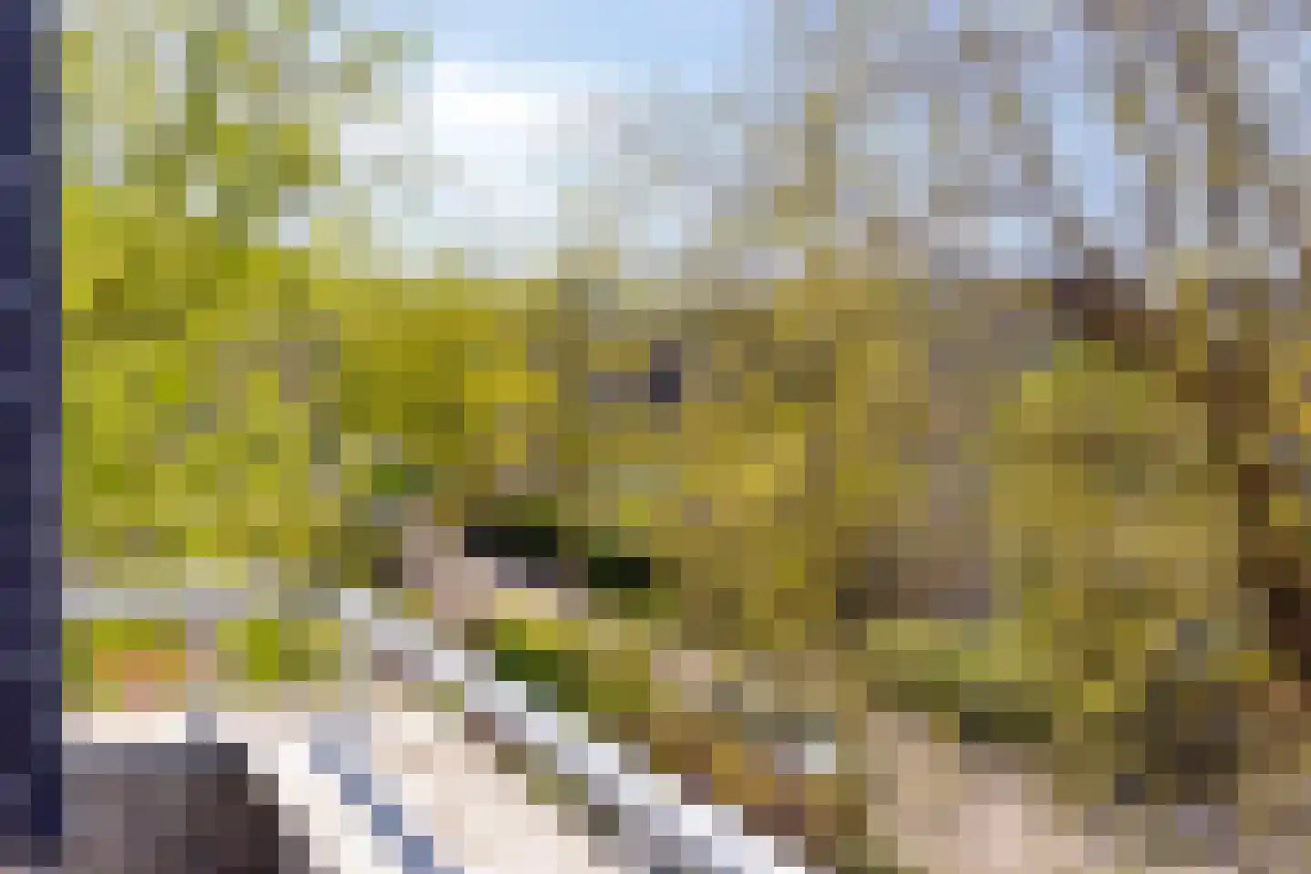 Coreemarke 25 Zwolle thumbnail 47