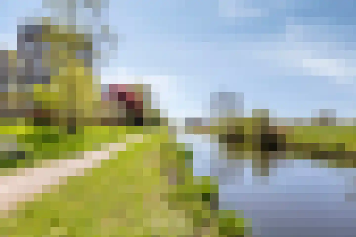 Coreemarke 25 Zwolle thumbnail 48
