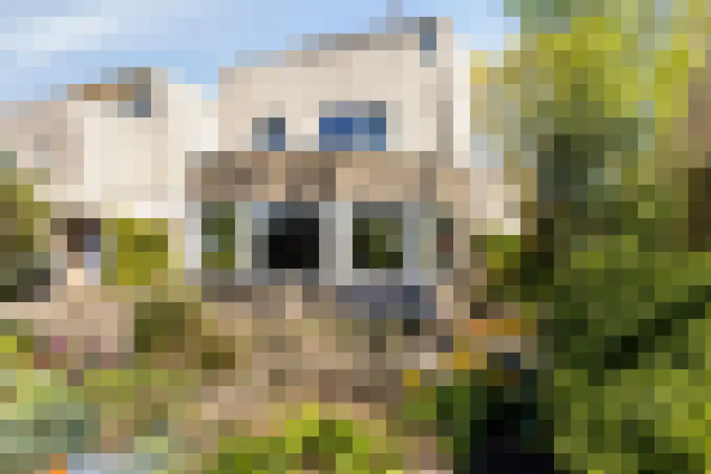 Coreemarke 25 Zwolle thumbnail 5