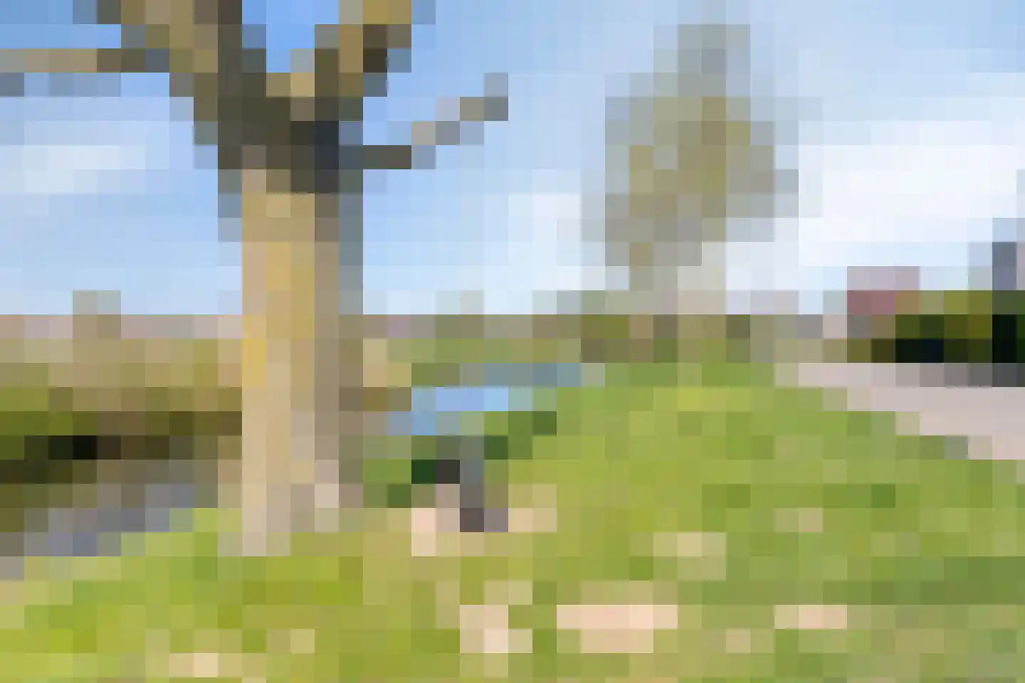 Coreemarke 25 Zwolle thumbnail 50