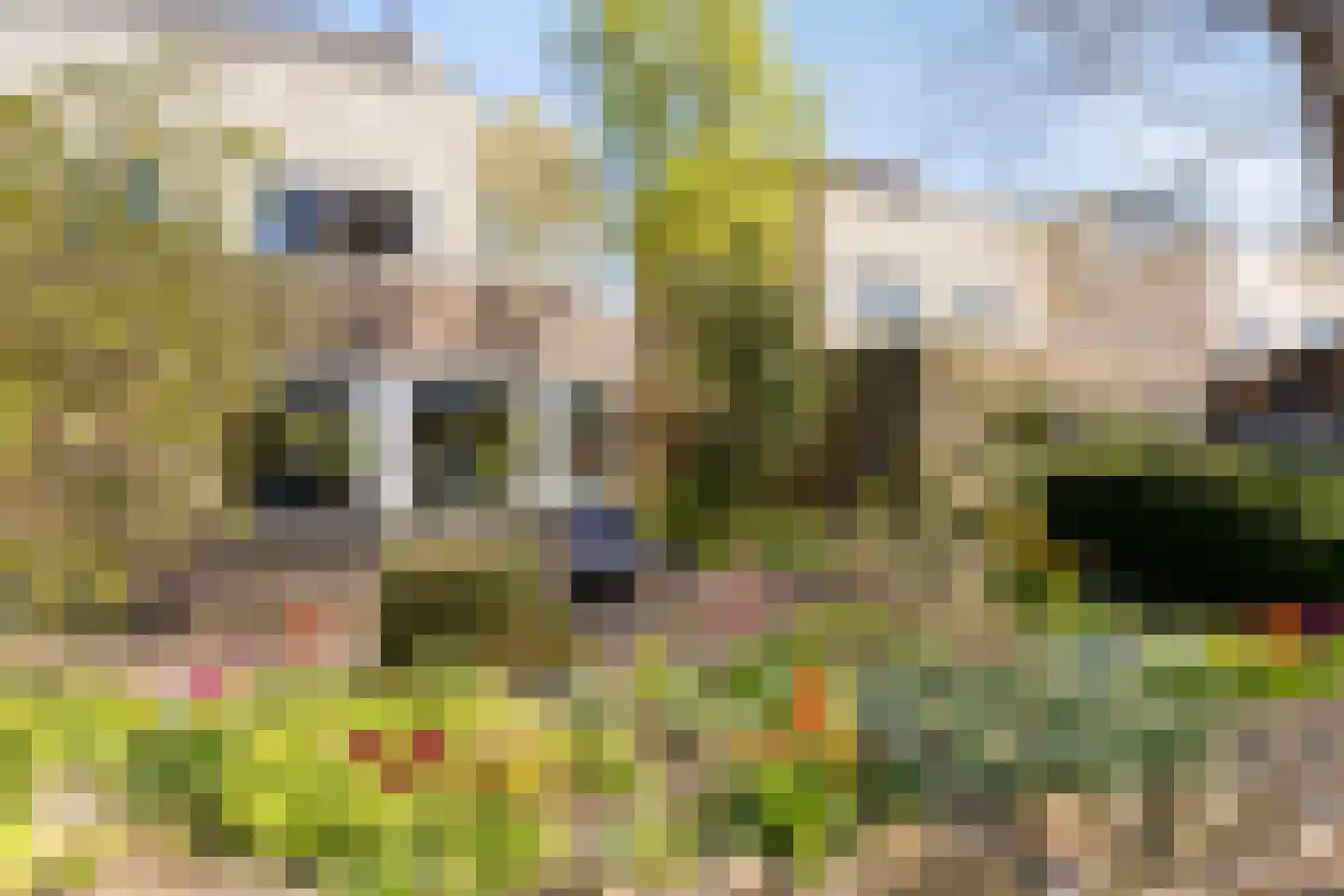 Coreemarke 25 Zwolle thumbnail 6