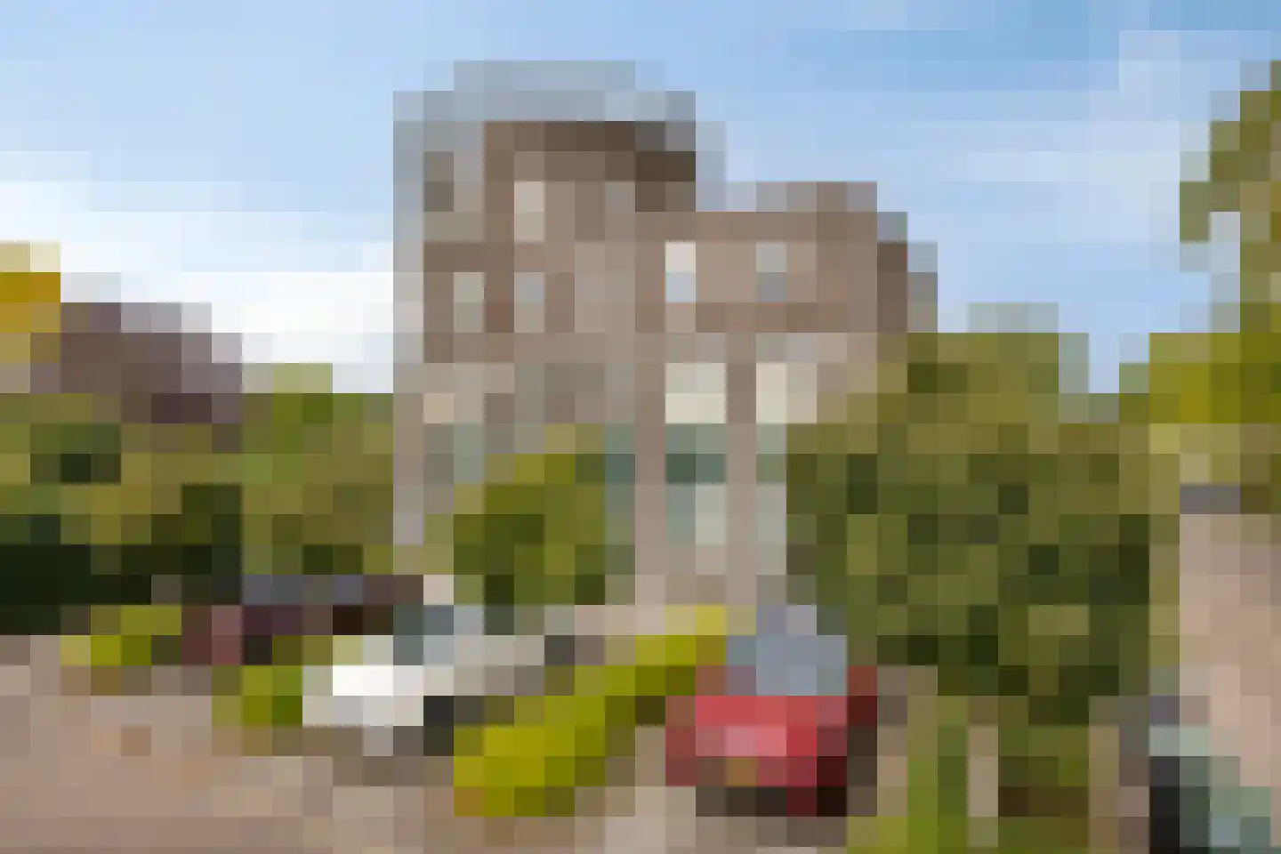 Coreemarke 30 Zwolle